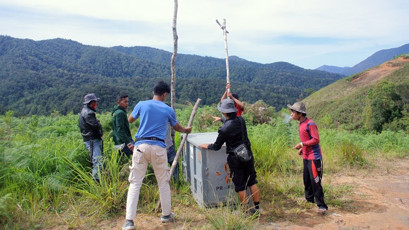 BKSDA Pasang Perangkap Harimau Sumatera di Ladang Warga Solok - Bagian 2