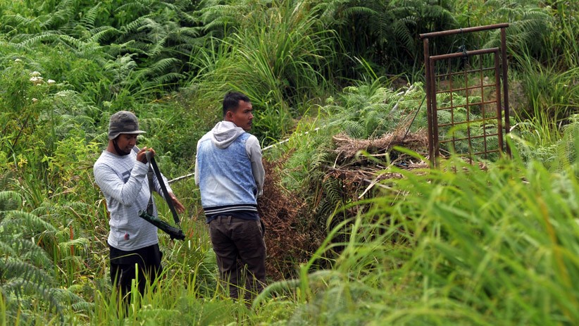 2 Harimau Sumatera Masuk Permukiman, BKSDA Sumbar Pasang Perangkap - Bagian 2