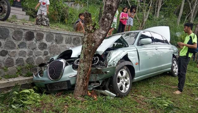Diduga Alami Gangguan Mesin, Mobil Jaguar Hantam Pohon 