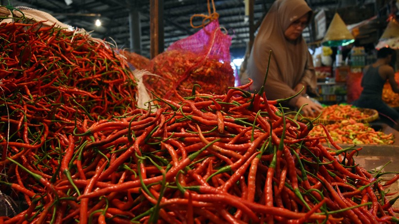 Harga Cabai di Batubara Capai Rp60.000 usai Lahan Petani Kebanjiran