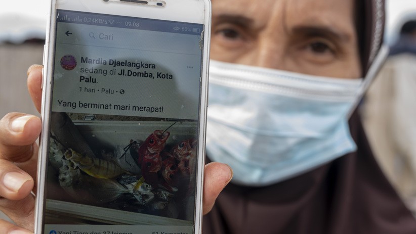 Tidak Perlu ke Pasar, Nelayan Palu Jual Ikan via Online - Bagian 1
