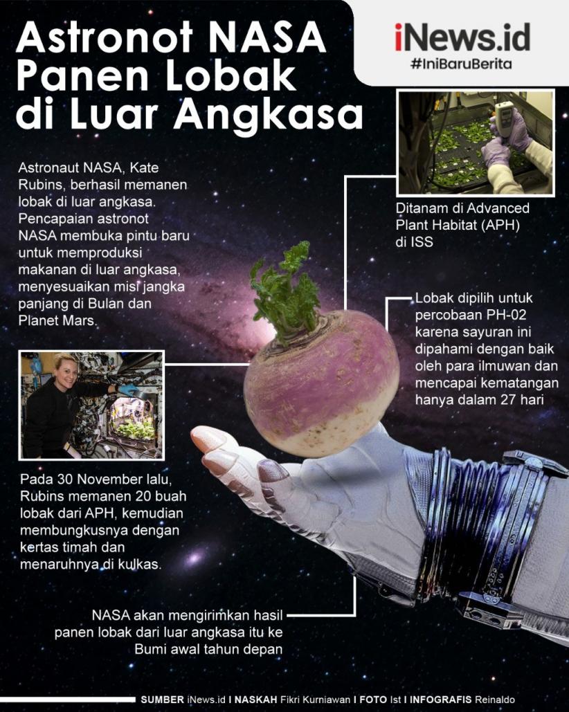 Infografis Astronaut Panen Lobak di Antariksa