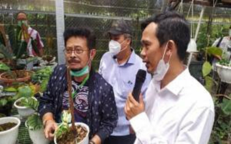 Tren Janda Bolong, Harganya Bikin Menteri Pertanian Kaget 