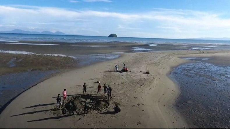 Bangkai Paus Balin Terdampar di Pesisir Aceh Besar, Warga Terganggu Bau Menyengat