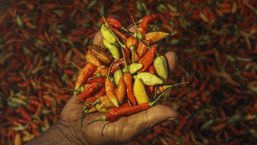 Harga Cabai Rawit Merah di Depok Naik Jadi Rp85.000 per Kilogram - Bagian 1