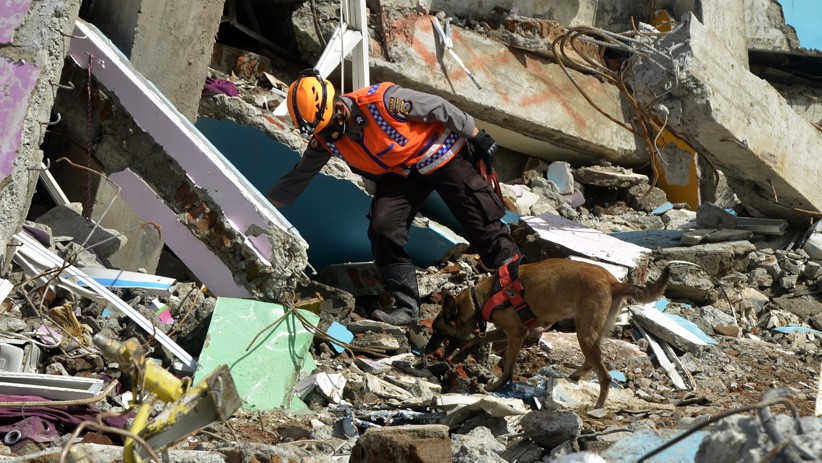 Anjing Pelacak Mabes Polri Dikerahkan Bantu Cari Korban Gempa Bumi Mamuju - Bagian 1