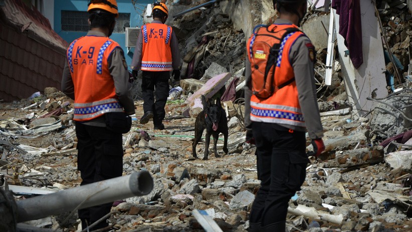 Anjing Pelacak Mabes Polri Dikerahkan Bantu Cari Korban Gempa Bumi Mamuju - Bagian 2