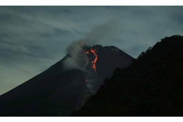 Dini Hari Tadi Merapi Semburkan Awan Panas Tiga Kali dan Lava Pijar 47 Kali 
