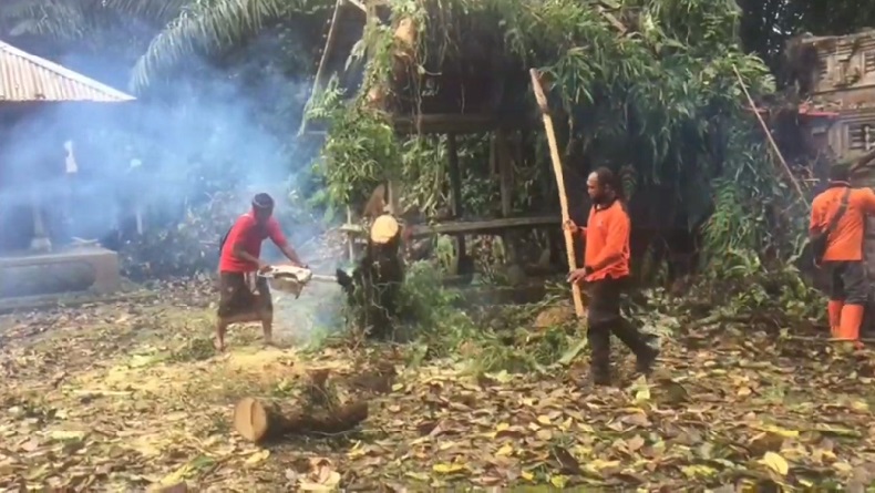 Pohon Kepuh Setinggi 15 Meter Tumbang Menimpa Bangunan Pura di Gianyar