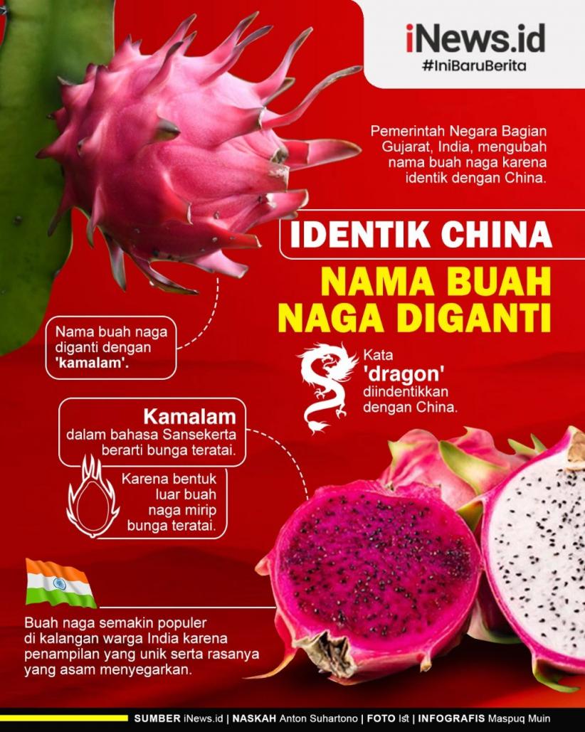 Infografis Nama Buah Naga Diganti Jadi Kamalam
