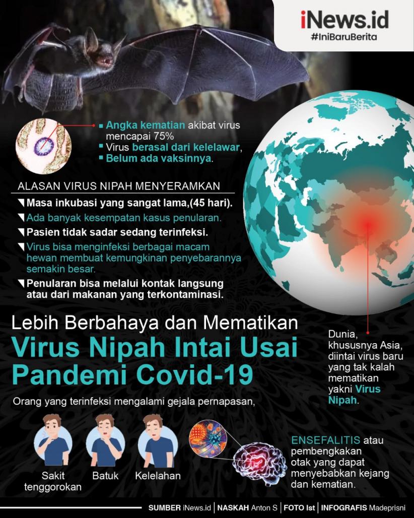 Apa Itu Virus Nipah? Ini Gejala dan Ancaman Bahaya