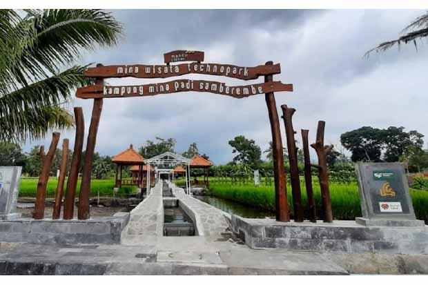 Samberambe Pakem Jadi Destinasi Mina Wisata Techno Park