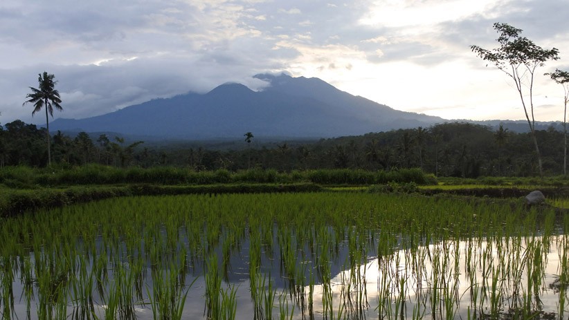Suara Gemuruh Gunung Raung Terdengar Warga Jember - Bagian 1