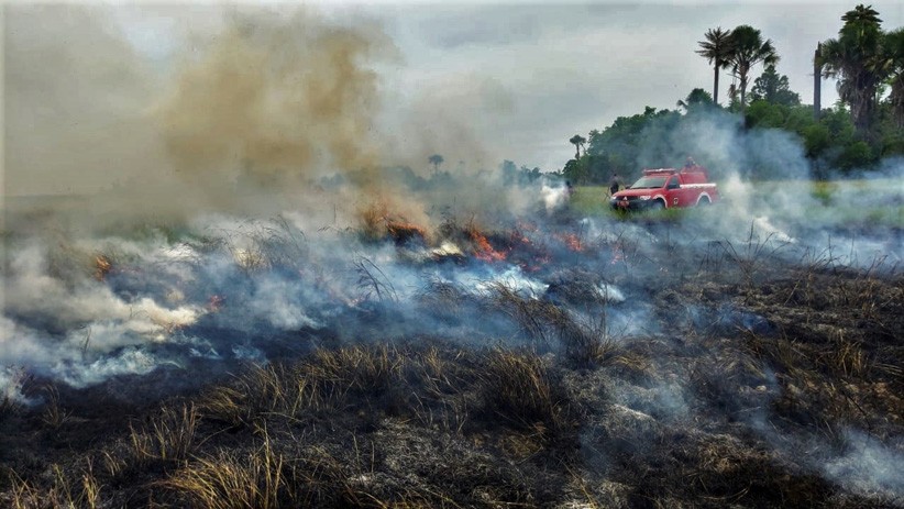17 Hektare Lahan Taman Nasional Rawa Aopa Watumohai Terbakar - Bagian 2