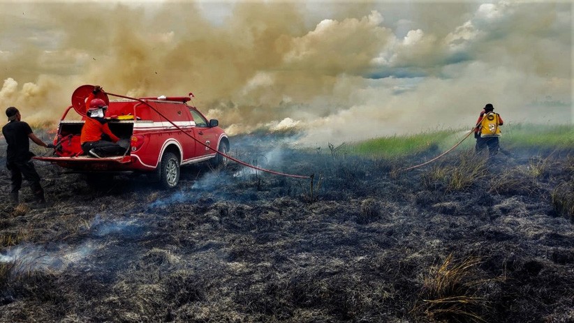 17 Hektare Lahan Taman Nasional Rawa Aopa Watumohai Terbakar - Bagian 3