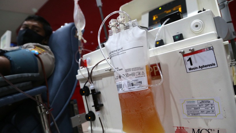 Arek Suroboyo Wani Donor, Stok Plasma Konvalesen Surabaya Tertinggi di Indonesia - Bagian 1