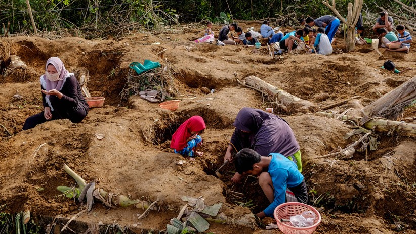 Batu Rak Mengandung Timah Diburu Warga Bangka, Dijual Rp25.000 Per Kilogram - Bagian 2
