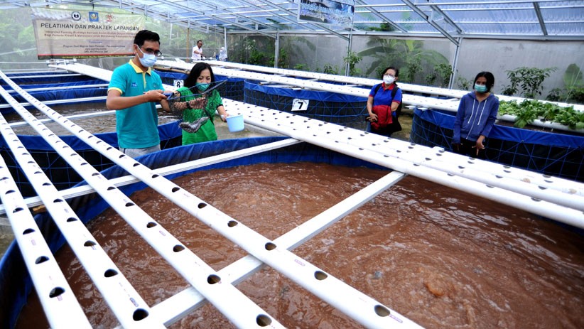 Edukasi Urban Farming untuk Ketahanan Pangan - Bagian 2
