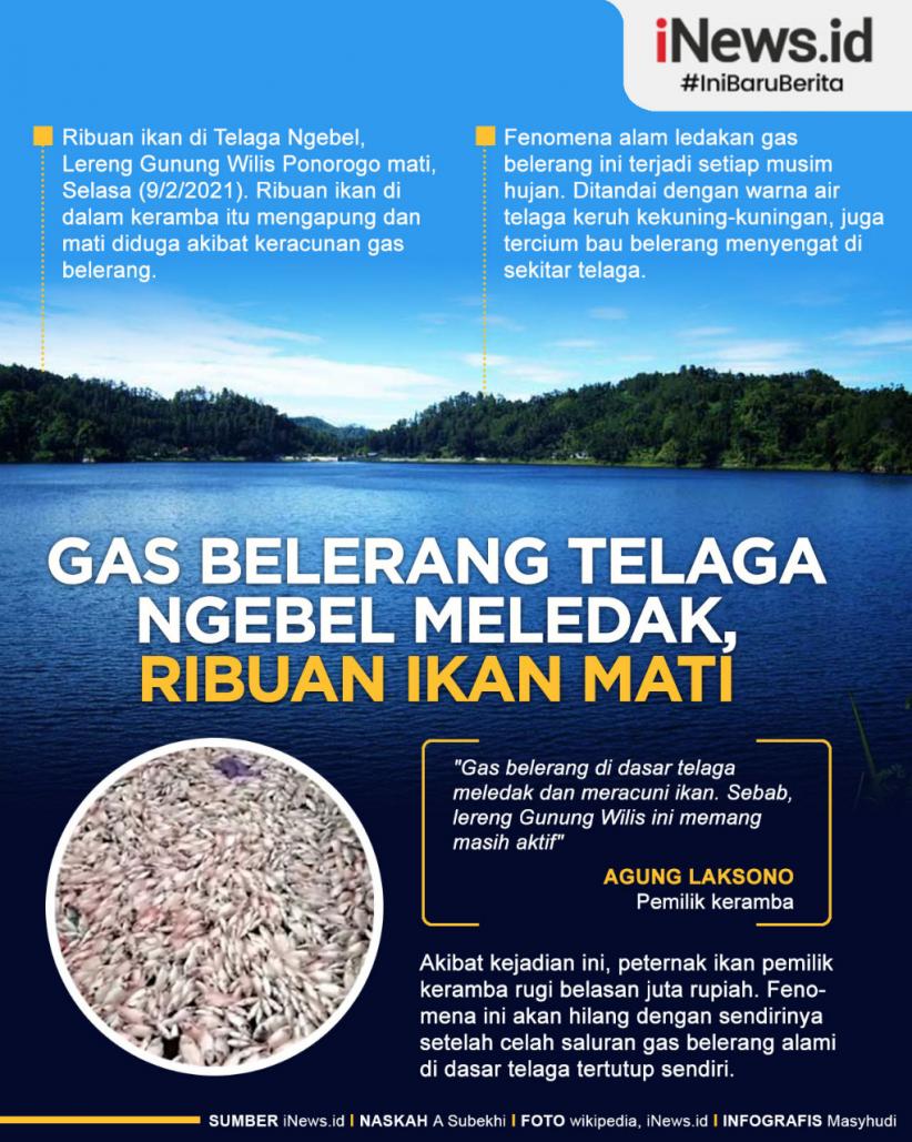 Infografis Gas Belerang Telaga Ngebel Ponorogo Meledak, Ribuan Ikan Peternak Mati