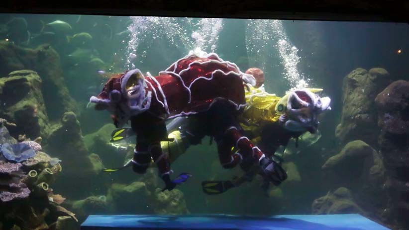 Atraksi Barongsai di Dalam Akuarium Sea World Ancol - Bagian 1