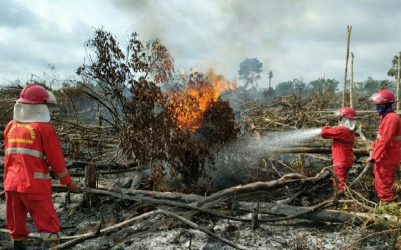 Lahan Gambut di Muba Terbakar, Petugas dalami Dugaan Kesengajaan 