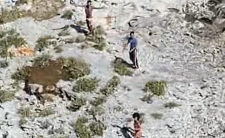Sebulan Terdampar di Pulau Tak Berpenghuni, 3 Orang Ini Bertahan Hidup dengan Kelapa