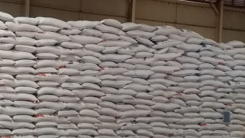 Jaga Kestabilan Harga Kebutuhan Pangan, Bulog Meulaboh Serap 500 Ton Beras Medium  