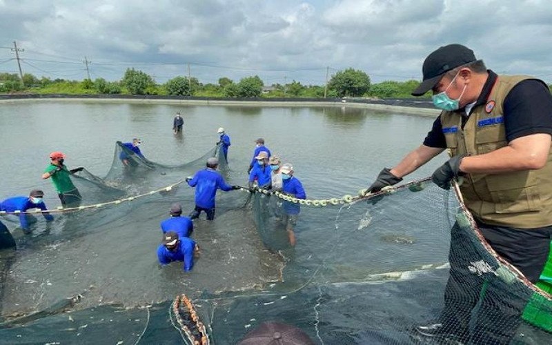 Soal Daerah Aliran Sungai, Gubernur Sumsel Herman Deru Panggil 84 Perusahaan 