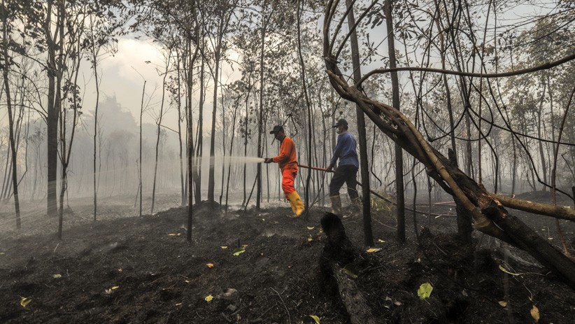Cuaca Panas, Hutan Kawasan Bandara Hang Nadim Terbakar - Bagian 1