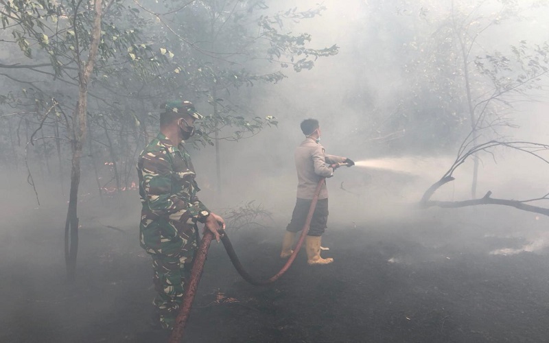 Hutan Bandara Internasional Hang Nadim Batam Kebakaran