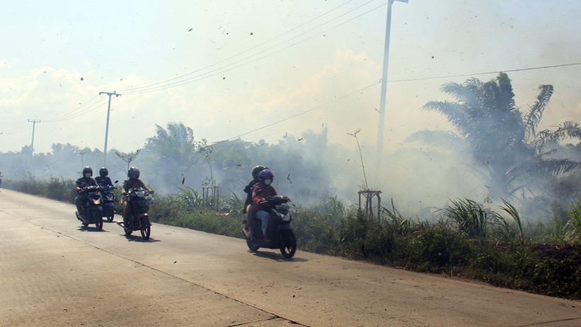 Cuaca Panas, Kebakaran Lahan Meluas di Dumai - Bagian 2