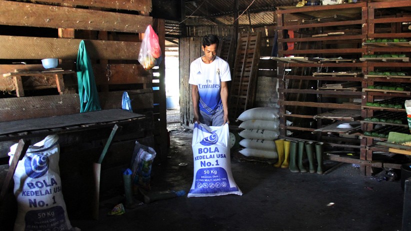 Harga Kedelai Impor Terus Naik, Produsen Tahu dan Tempe di Dumai Mogok  - Bagian 1