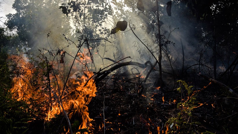 Karhutla di Kotawaringin Timur, Polisi Selidiki Penyebab Kebakaran