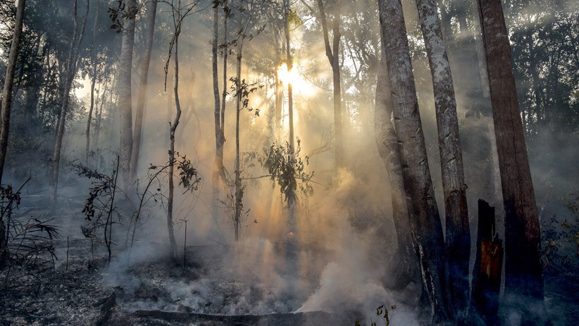 34 Titik Panas akibat Kebakaran Hutan Terpantau di Riau - Bagian 2