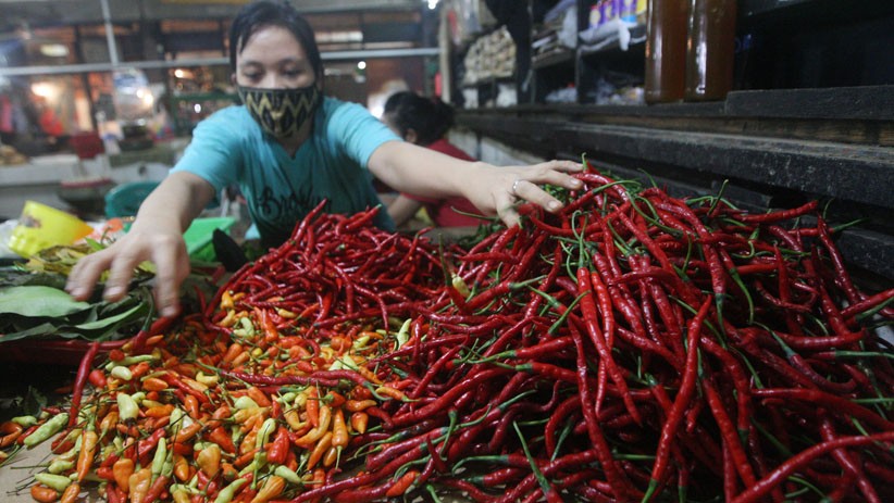 Harga Cabai Keriting dan Rawit di Pasaman Naik Jelang Ramadan