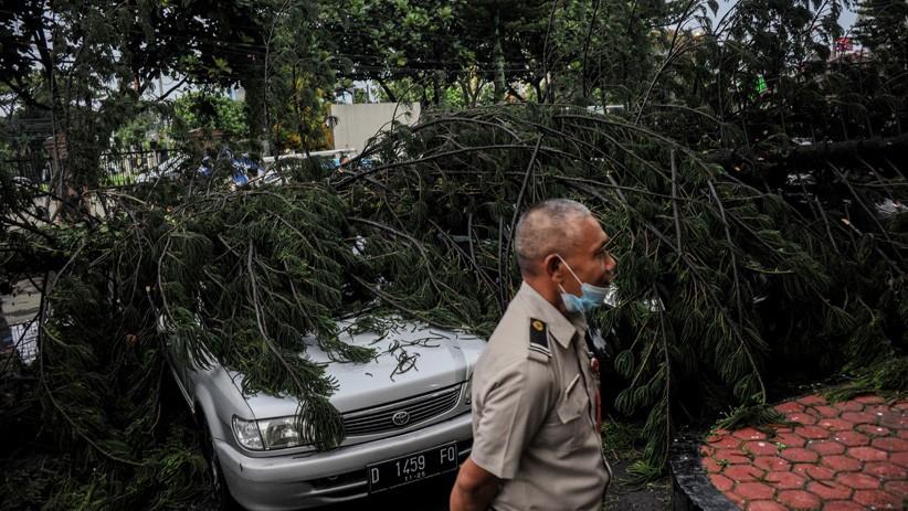 Angin Kencang Terjang Bandung, Atap Gedung Roboh dan Pohon Tumbang Timpa Mobil - Bagian 2