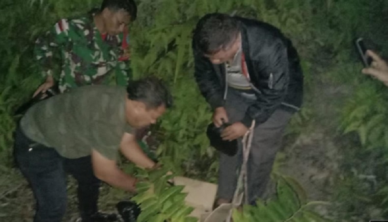Lagi, Satgas TNI Temukan 10 Kg Sabu di Perbatasan RI-Malaysia