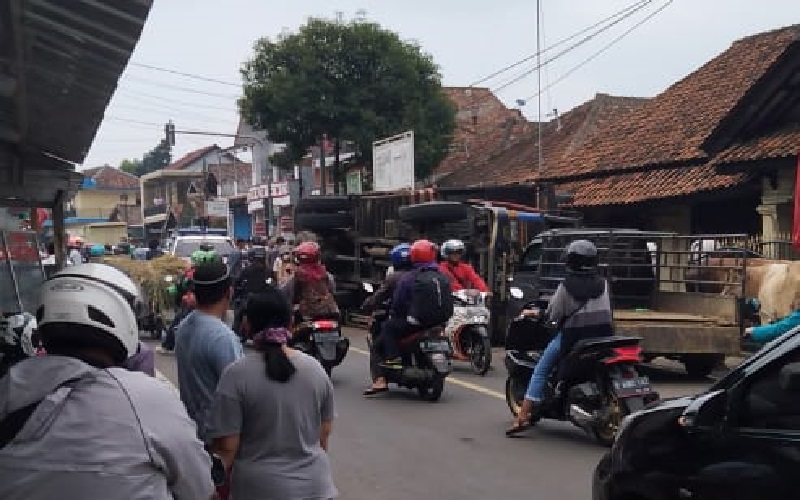 Kronologi Lengkap Truk Pengangkut Sapi Terguling di Cigugur Kuningan
