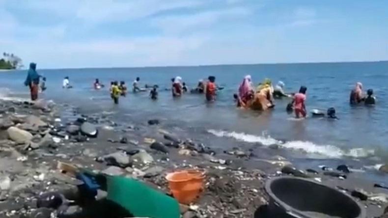 Heboh, Warga Malteng Berbondong-Bondong Dulang Emas di Pantai Pohon Batu