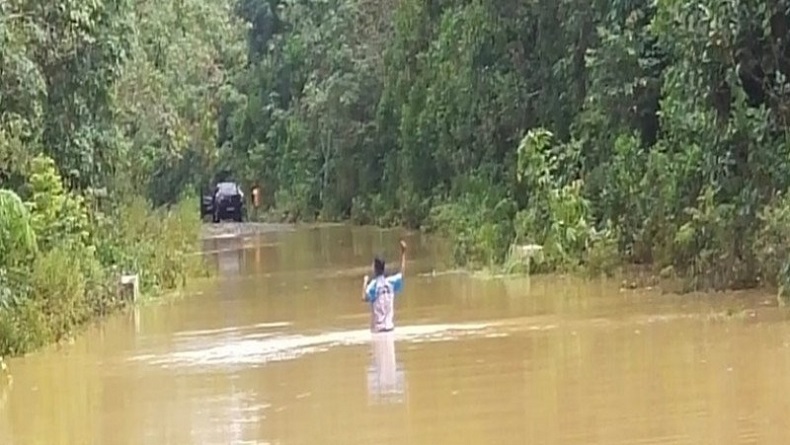 Banjir Landa Mesuji, Puluhan Hektare Kebun Karet Terendam