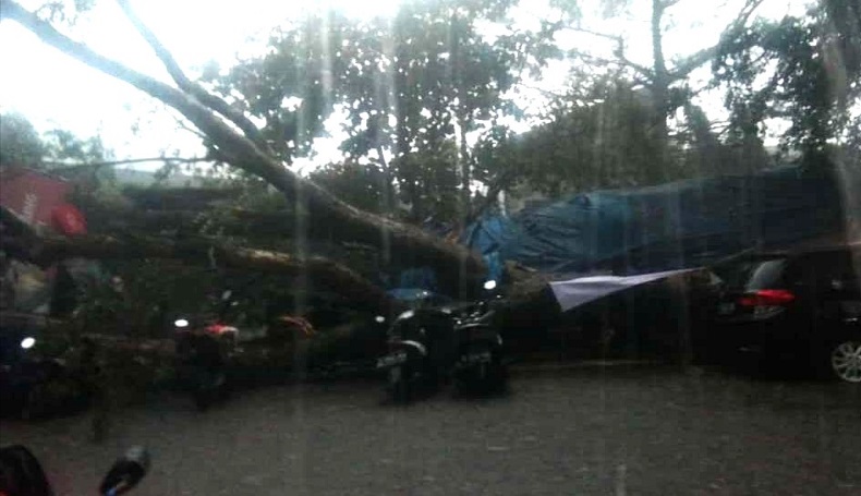 Pohon Tumbang Timpa Warung Makan di Bandung, 5 Warga Luka-luka