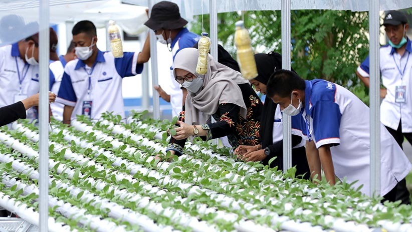 Pelatihan Budi Daya Tanaman Hidroponik - Bagian 1