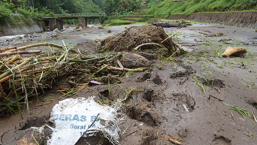 Puluhan Hektare Sawah Rusak akibat Banjir Madiun - Bagian 2