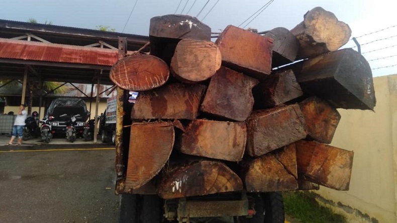 Polisi Tangkap 3 Pelaku Illegal Logging di Kalsel, 874 Batang Kayu Ulin Diamankan