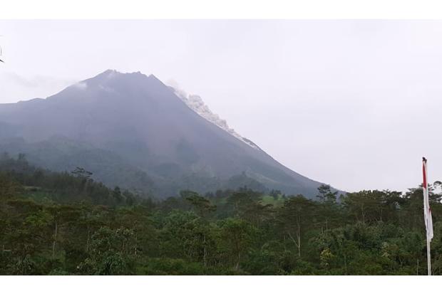 Jumat Petang Merapi Dua Kali Semburkan Awan Panas Sejauh 1,8 Km