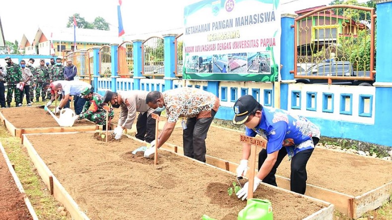 Kodam XVIII/Kasuari dan Unipa Kolaborasi Buat Program Ketahanan Pangan Mahasiswa