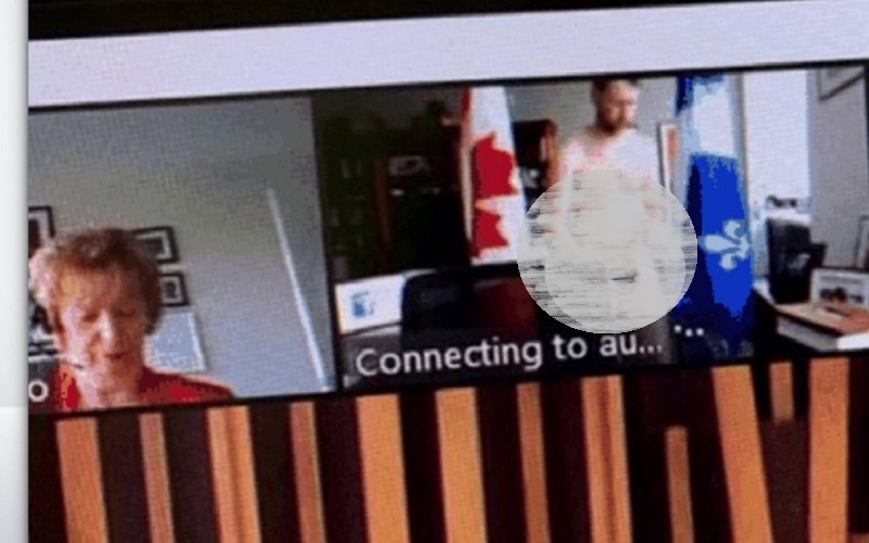 Viral Politikus Telanjang Bulat saat Rapat Zoom 