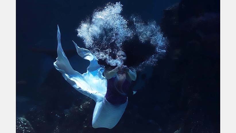Ini Dia Para Penyelam Perempuan Jakarta Aquarium Safari - Bagian 2