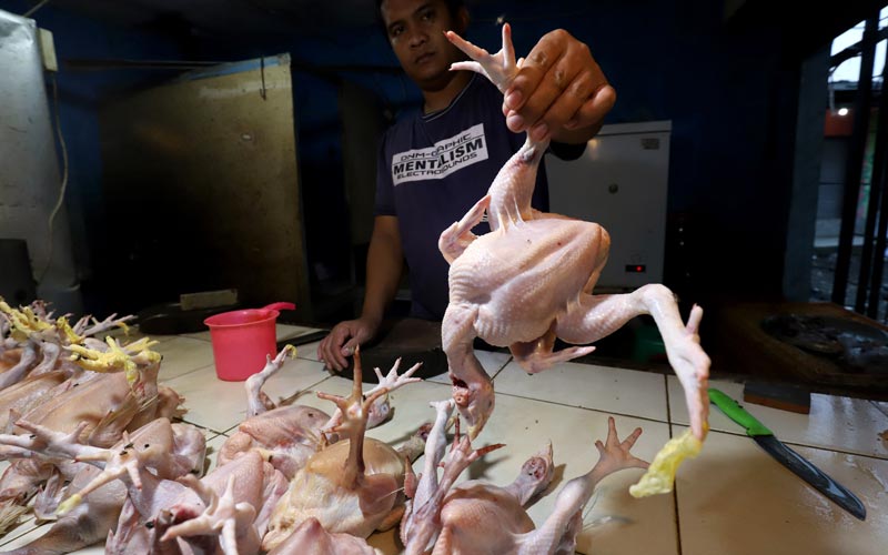 Kenaikan Harga Daging Ayam Picu Inflasi April 2021  - Bagian 1