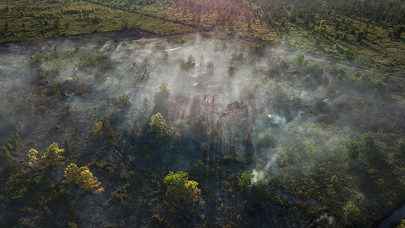 Kebakaran Hutan dan Lahan Seluas 5 Hektare di Palangkaraya Berhasil Dipadamkan - Bagian 1